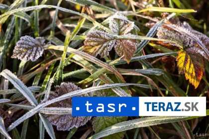 Prizemny mraz na Slovensku Kde sa moze vyskytnut