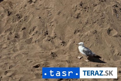 AFP Na dvoch spanielskych plazach nasli tela siedmich migrantov