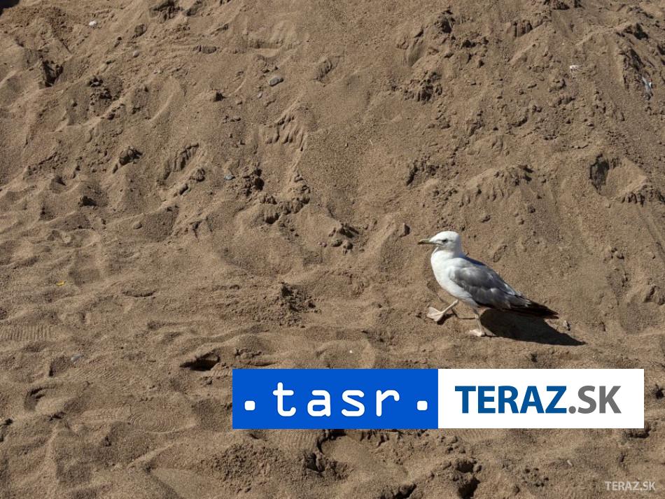 AFP Na dvoch spanielskych plazach nasli tela siedmich migrantov