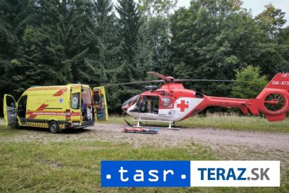 DRAMA V LESE Zachranari museli uviest muza do spanku