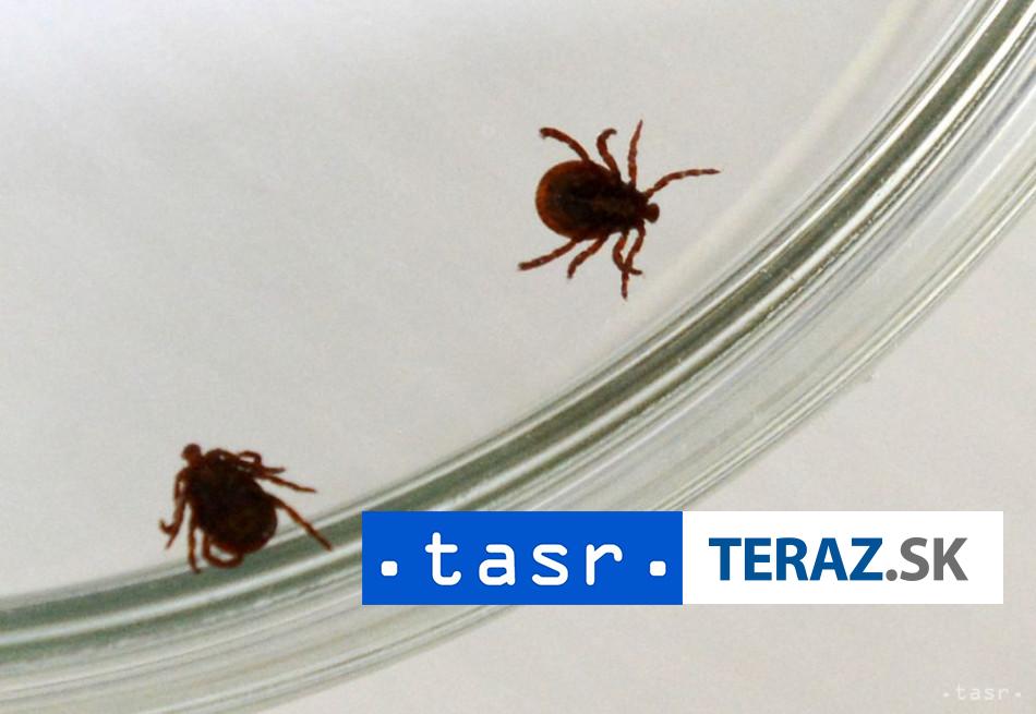 Klieste su aktivne aj na jesen davajte si pozor