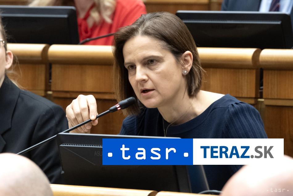 Kolikova SaS nepodpori novelu ustavy ide proti nasim hodnotam