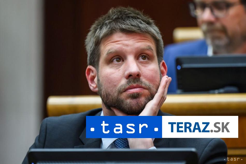 Simecku mrzi ze Fico sa pred rokovanim so Zelenskym stretol s Putinom