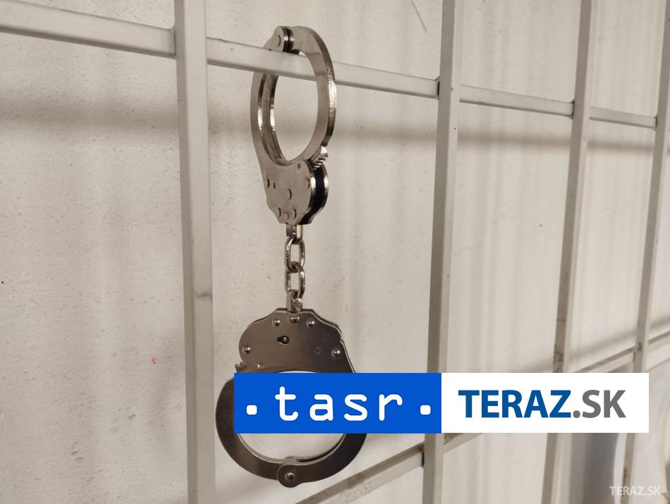 Assange ziada 20 rocny trest pre Spaniela ktory ho spehoval pre USA