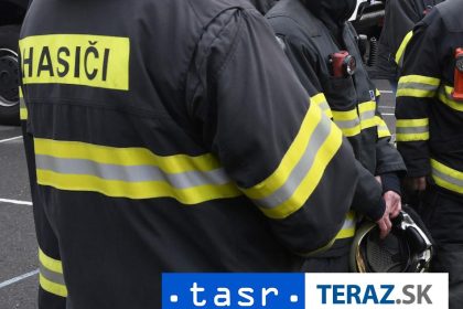 V obci Tekovske Luzany zhorela susicka na slnecnicu