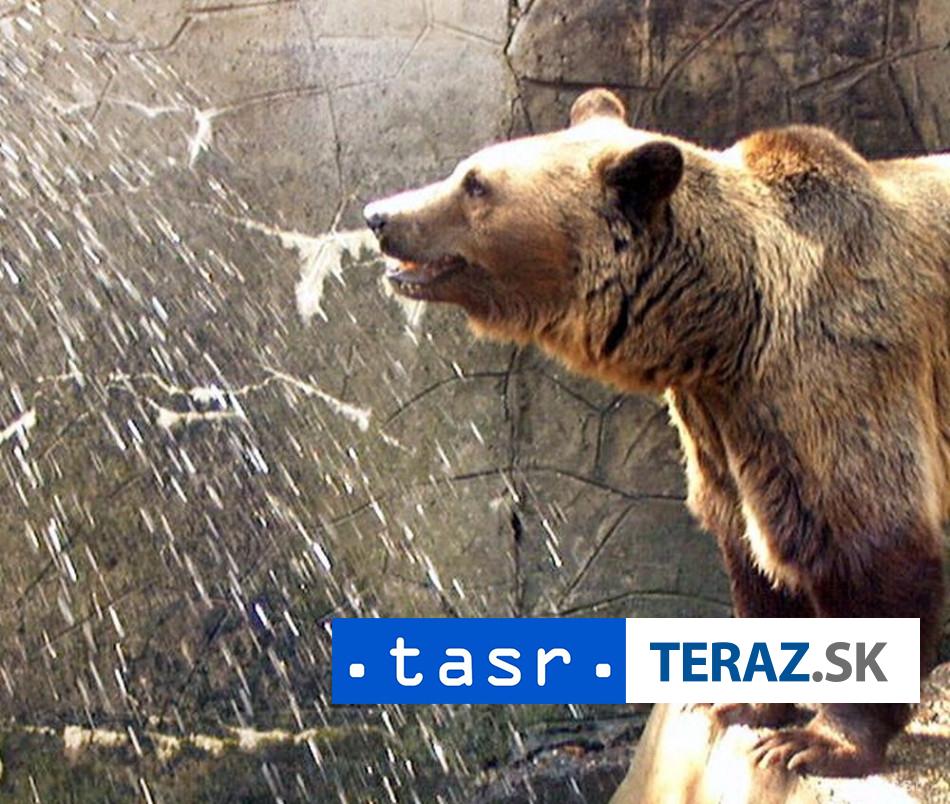 Japonsko chce do boja proti medvedom zapojit byvalych policajtov