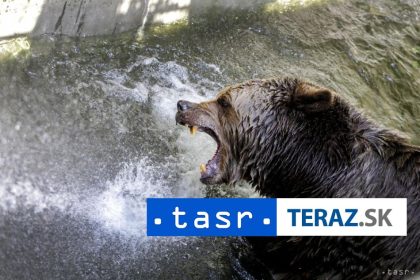 KRMENIE MEDVEDOV Tento cin potrestaju vysokou pokutou
