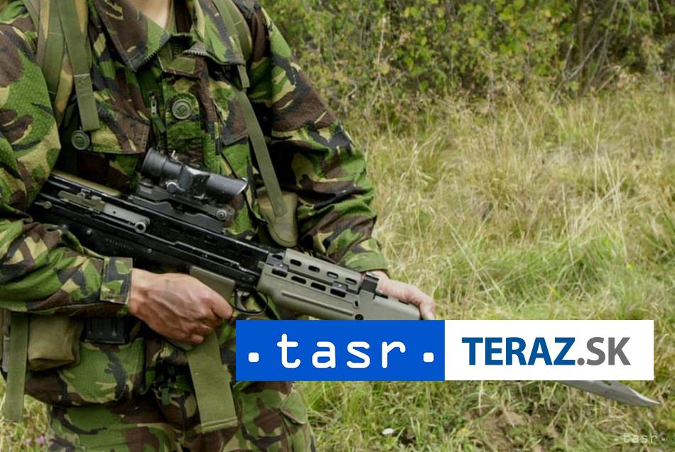 Reuters USA planuju nasadit jednotky pri Damasku