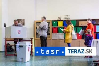 Sud nevyhovel ani jednej staznosti na volby v Cesku