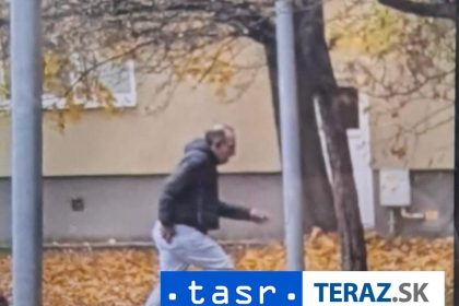 VKRADLI SA DO BYTU Utiekli po vyruseni majitelkou