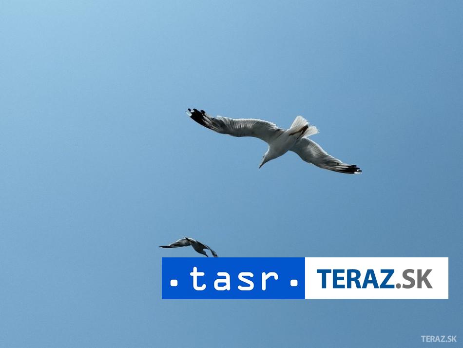 NEZVESTNY CHLAPEC Zachranili 52 migrantov pri Grecku