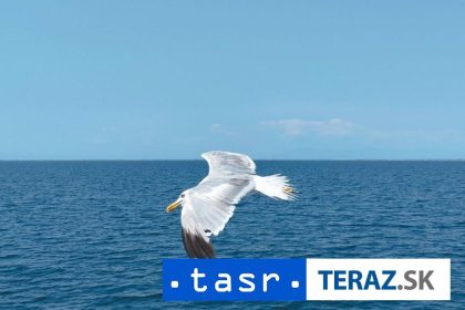 POTOPENA LOD Nestastie pri ostrove Padar nezvestni