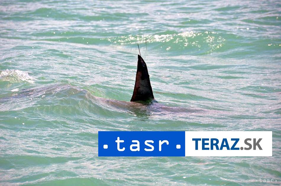 DALSIE UTOR V Australii napadol zralok stvrteho cloveka za 48 hodin