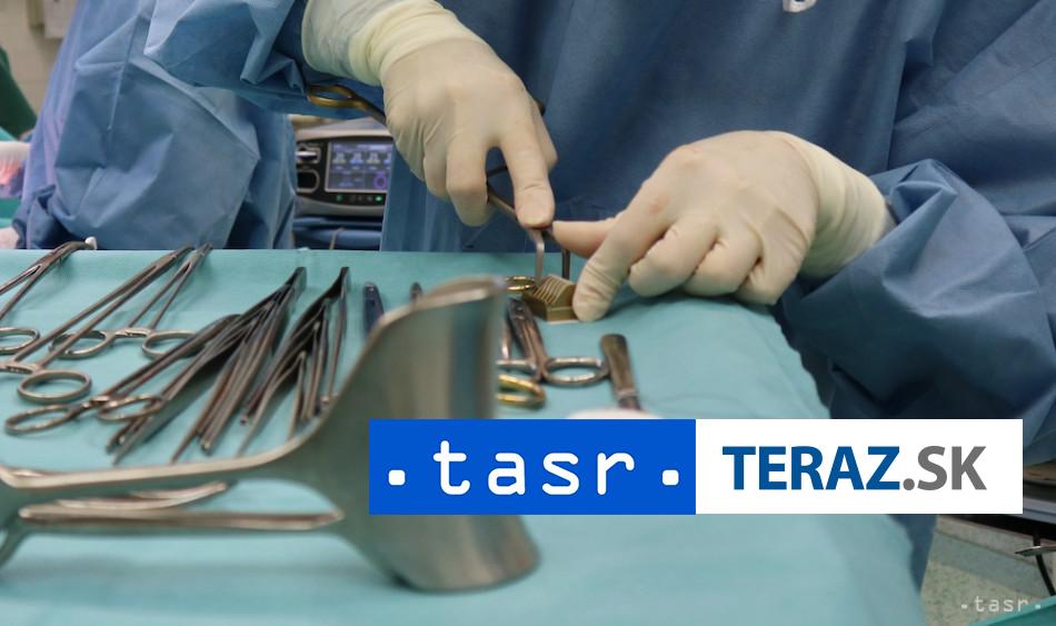 Izraelski ultraortodoxni Zidia protestuju proti pitvam dvoch det