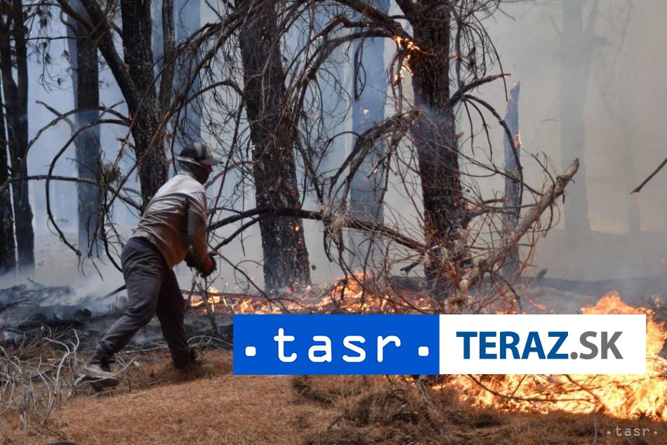 Lesne poziare v Patagonii znicili vyse 15 000 hektarov porastov