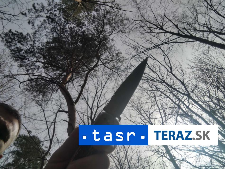 UTOK NOZOM PO DEMONSTRACII Utochnik pobodal ses osob