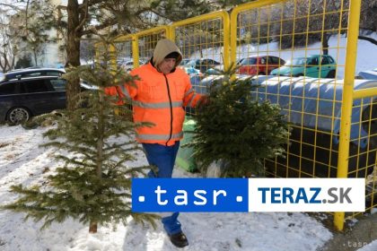 Zacina sa zber pouzitych vianocnych stromcekov