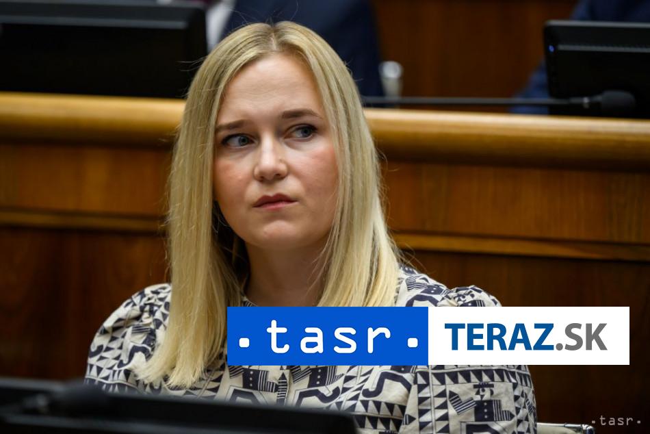 a SaS kritizuju zahranicnu politiku vlady