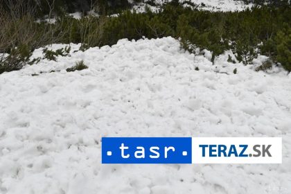 SMRTELNE LAVINY Zabili dvoch lyziarov pocet obet v sezone narasta