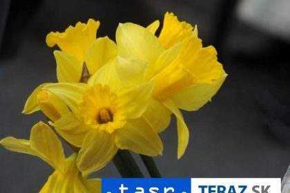 Svetovy den boja proti rakovine sa oslavuje 4 februara