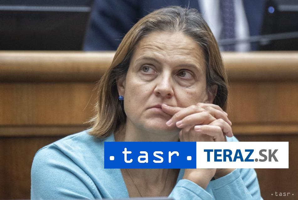 SaS vyzyva predsedu NR SR aby prijal opatrenia na plne obsadenie Ustavneho sudu