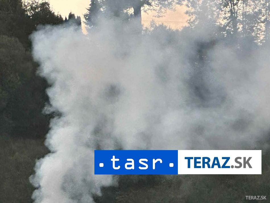 Do likvidacie lsneho poziaru v Ceskom Svajciarsku sa zapojilo 500 hasicov