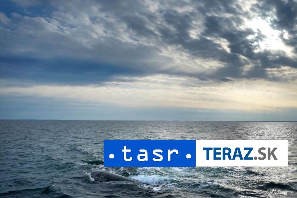 Mrtva velryba najdena pri pobrezi danskeho ostrova Anholt sa vola Timmy