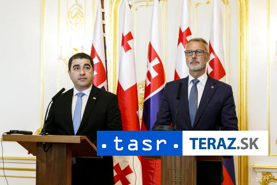Rasi a Papuasvili sa zhodli na dolezitosti parlamentneho dialogu