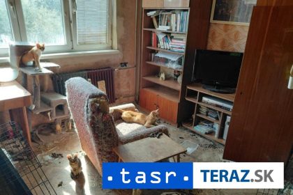 FOTO BYT PLNY HROZY V Zlatych Moravciach oslobodili 18 zvierat