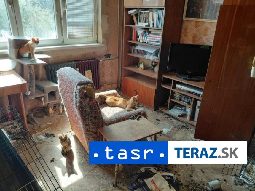 FOTO BYT PLNY HROZY V Zlatych Moravciach oslobodili 18 zvierat