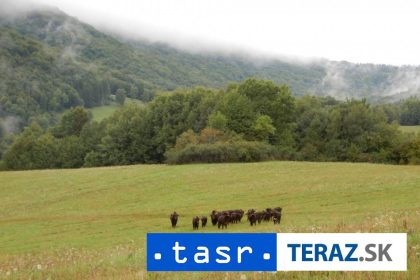 Vlada schvalila zonovanie styroch narodnych parkov