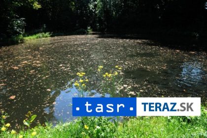 zachrana ryb pred teplom na strednom povazi boli zavedene opatrenia