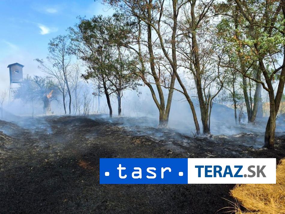 POZIAR LESA Hasiczi zasahuju v katastri obce Moravsky Svaty Jan