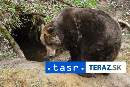cyklistu napadol medved z valcianskej doliny ho previezli do nemocnice