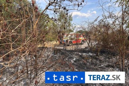 poziare pri leviciach plamene sa rozsrili na suchy porast aj na odpadky