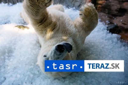 prebudili polarnemu medvedovi urad im udelil vysoku pokutu