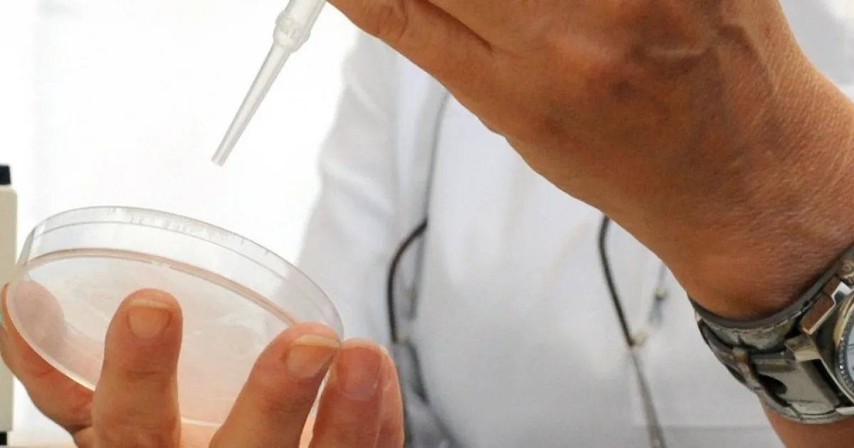 Od začiatku epidémie eboly zaznamenali v KDR už viac ako 7000 prípadov