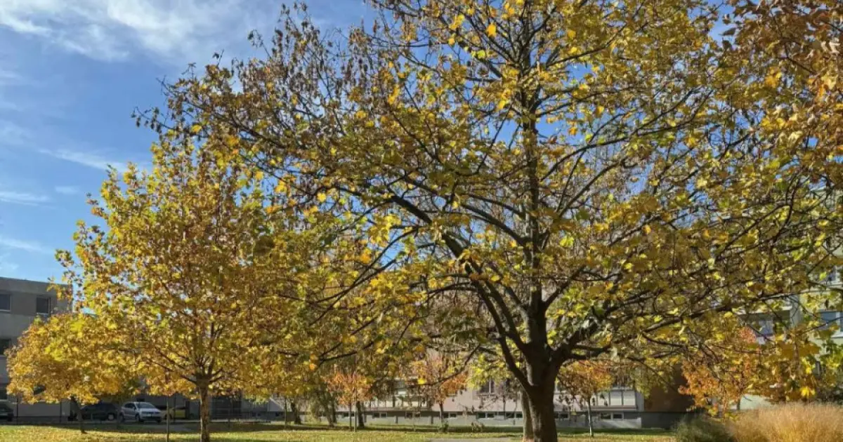 V stredu nastane jesenná rovnodennosť, začne sa astronomická jeseň