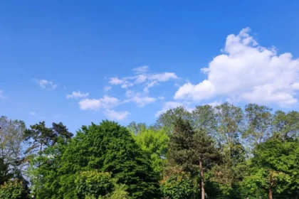 Na sobotu predpovedajú jasno a veľmi teplé počasie